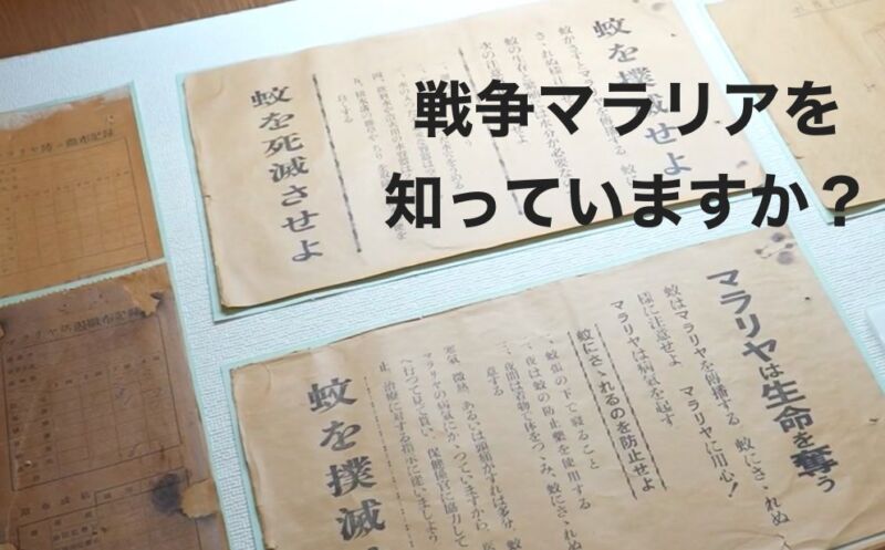 Image for the Tweet beginning: 「戦争マラリア」を知っていますか？
軍令により多くの島民が命を落とした、知られざる沖縄・八重山の悲劇。 語り継ぐべき克服の記憶。
  